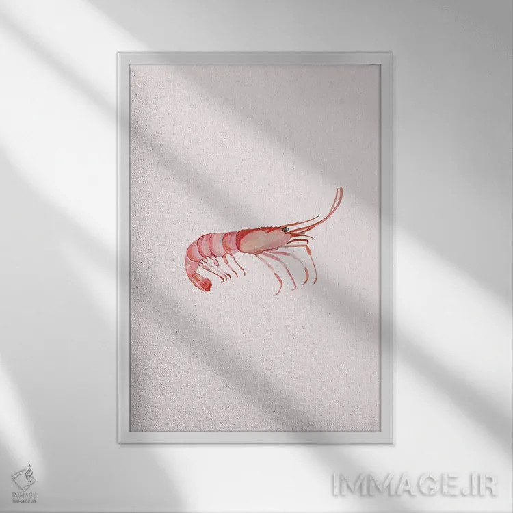 تابلو مینیمال میگو اثر آملیا نویز - نمای قابدار سفید