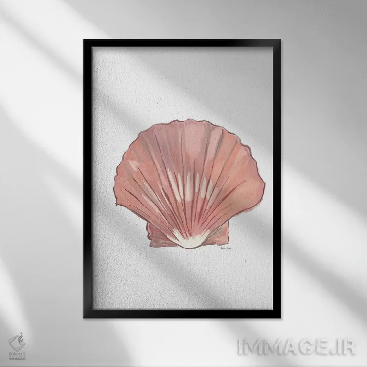 تابلو مینیمال صدف دریایی اثر آملیا نویز - نمای قابدار مشکی