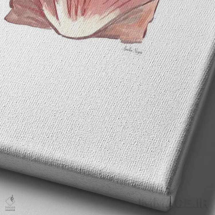 تابلو مینیمال صدف دریایی اثر آملیا نویز - نمای نزدیک بافت بوم