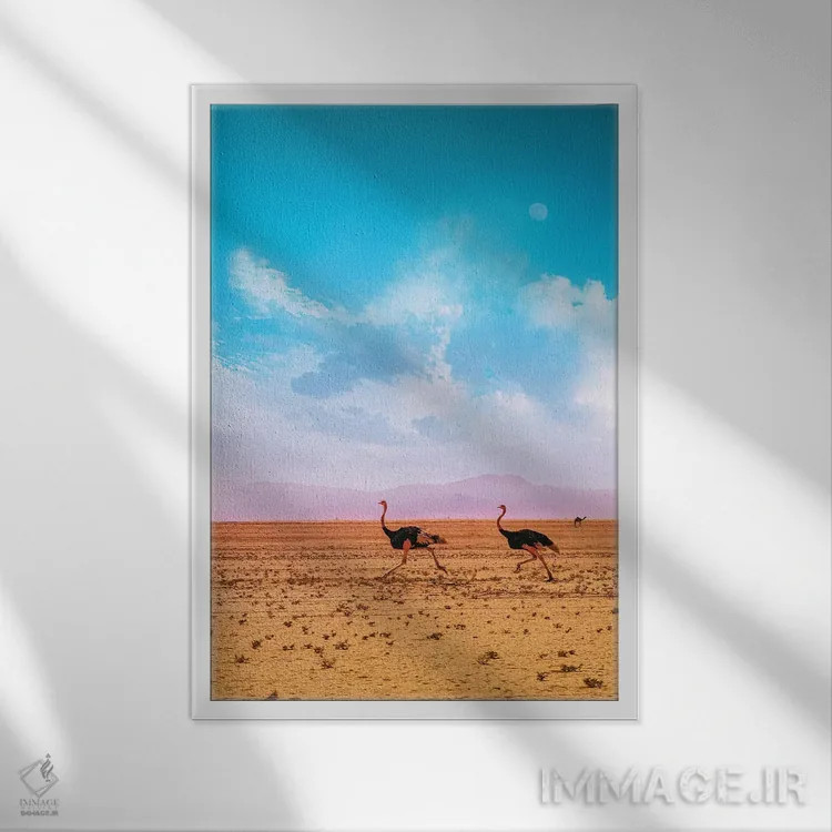تابلو دکوراتیو دویدن در صحرا اثر نیـرز فوتوگرافی - نمای قابدار سفید