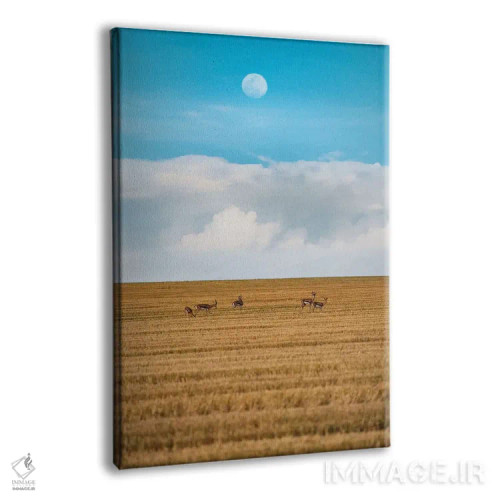 تابلو دکوراتیو پیاده روی شبانه اثر نیـرز فوتوگرافی - نمای پرسپکتیو محصول
