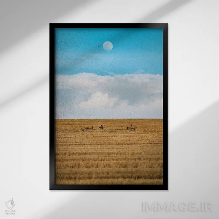 تابلو دکوراتیو پیاده روی شبانه اثر نیـرز فوتوگرافی - نمای قابدار مشکی
