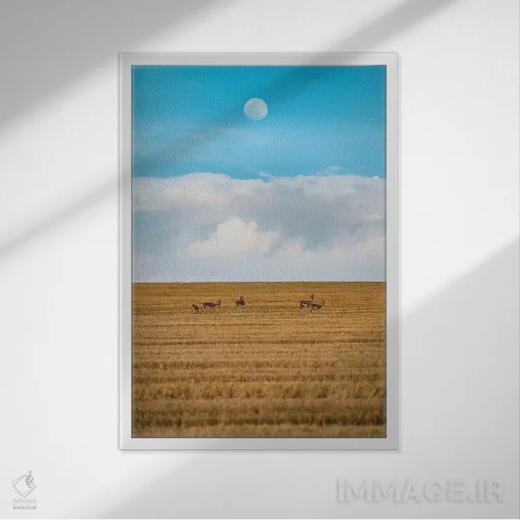 تابلو دکوراتیو پیاده روی شبانه اثر نیـرز فوتوگرافی - نمای قابدار سفید