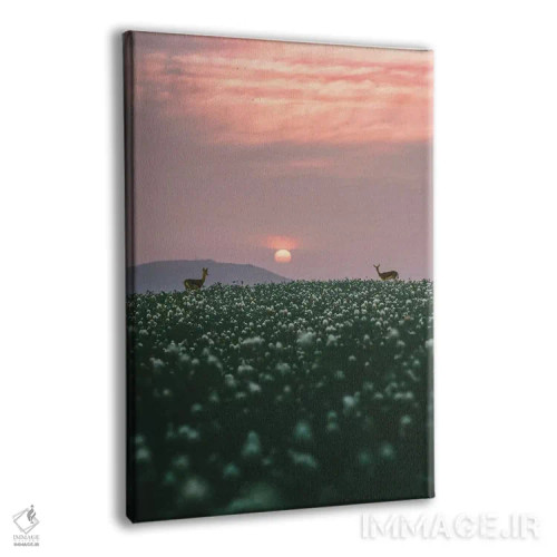 تابلو دکوراتیو پشت علف ها اثر نیـرز فوتوگرافی - نمای پرسپکتیو محصول