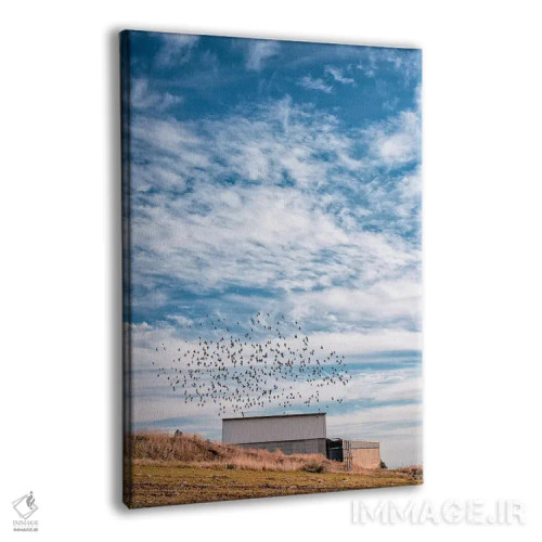 تابلو دکوراتیو به کجا اثر نیـرز فوتوگرافی - نمای پرسپکتیو محصول