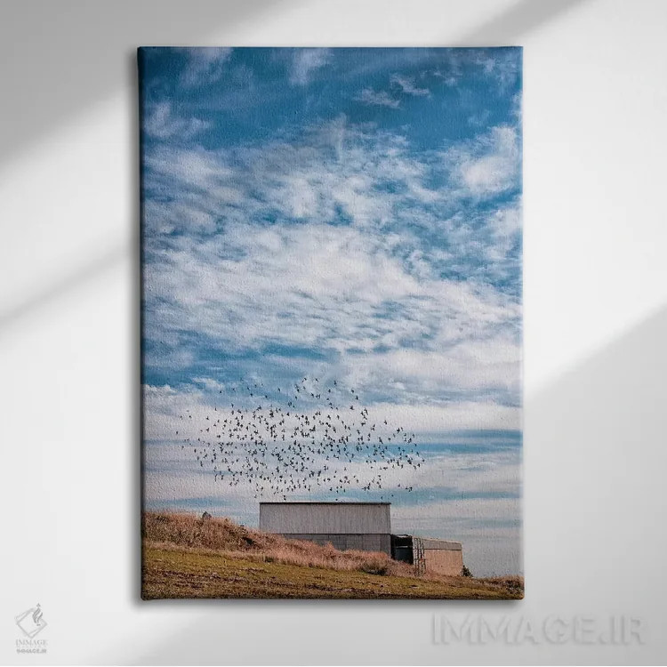 تابلو دکوراتیو به کجا اثر نیـرز فوتوگرافی - نمای روبهرو روی دیوار