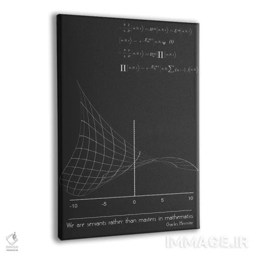 تابلو مدرن نقل قول ریاضی چارلز هرمیت اثر نوردیک پرینت استودیو - نمای پرسپکتیو محصول