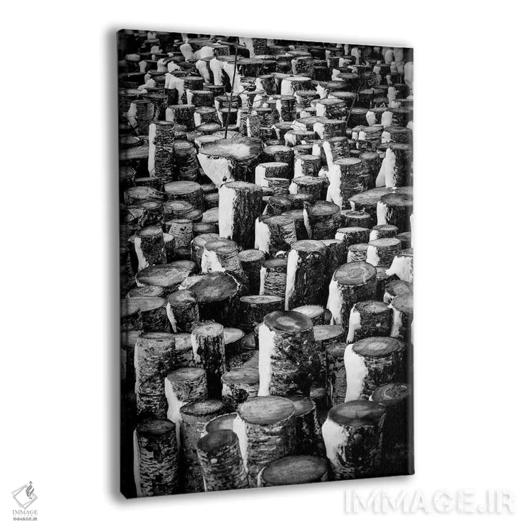 تابلو دکوراتیو کنده های ایستاده اثر نیک ریو - نمای پرسپکتیو محصول