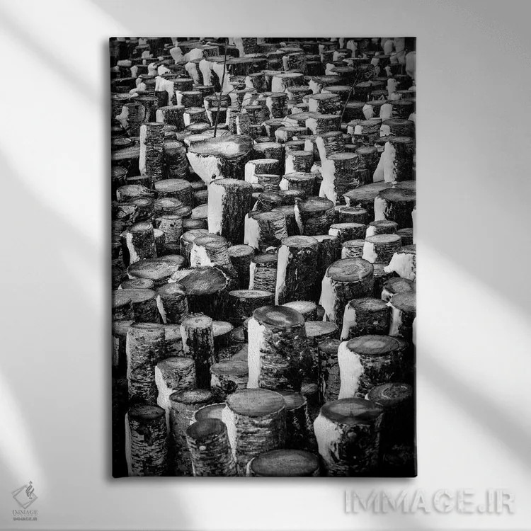 تابلو دکوراتیو کنده های ایستاده اثر نیک ریو - نمای روبهرو روی دیوار