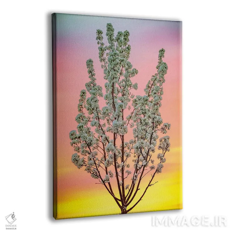 تابلو دکوراتیو درخت شکوفه دار نورپشت در زیر آسمان تابستانی اثر نیک ریو - نمای پرسپکتیو محصول