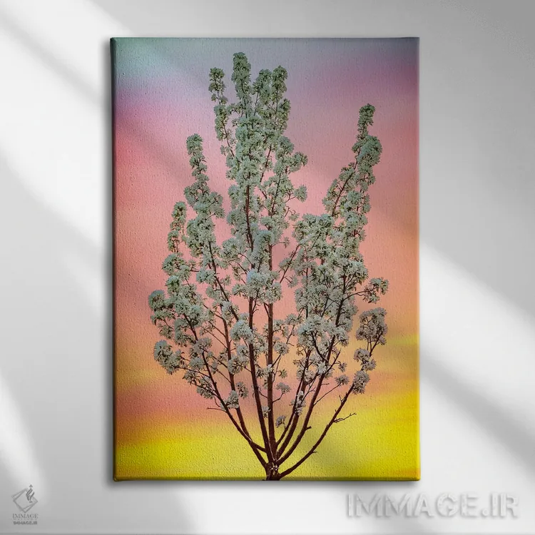 تابلو دکوراتیو درخت شکوفه دار نورپشت در زیر آسمان تابستانی اثر نیک ریو - نمای روبهرو روی دیوار