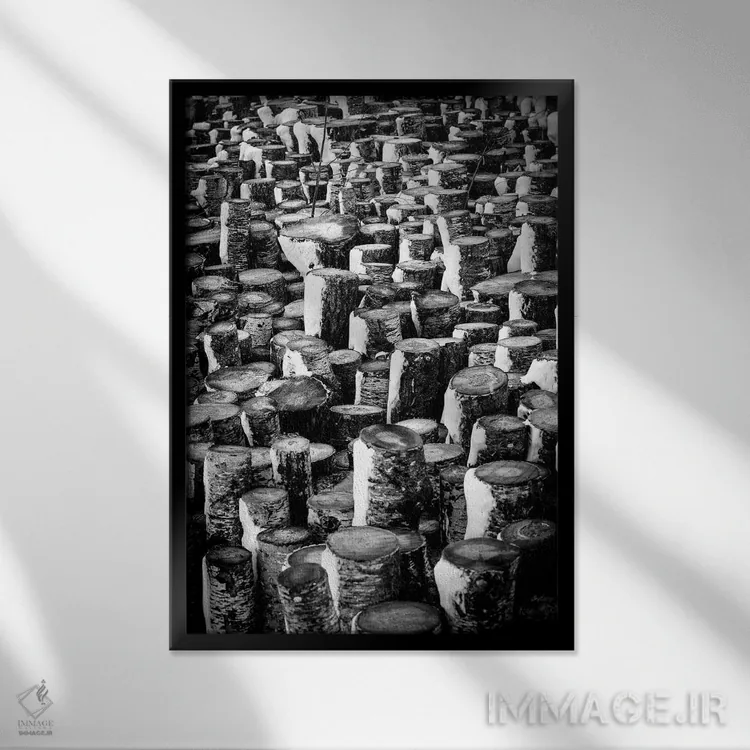 تابلو دکوراتیو کنده های ایستاده اثر نیک ریو - نمای قابدار مشکی
