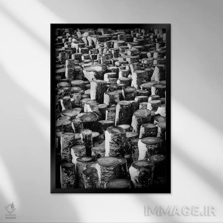 تابلو دکوراتیو کنده های ایستاده اثر نیک ریو - نمای قابدار مشکی