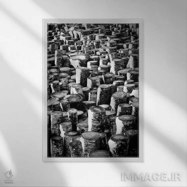 تابلو دکوراتیو کنده های ایستاده اثر نیک ریو - نمای قابدار سفید