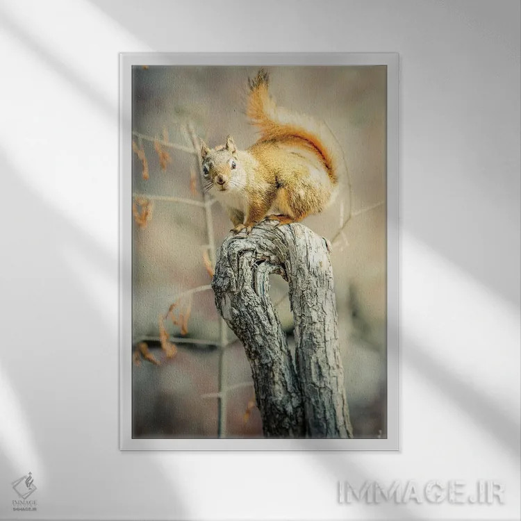 تابلو دکوراتیو سنجاب روی شاخه خمیده اثر نیک ریو - نمای قابدار سفید