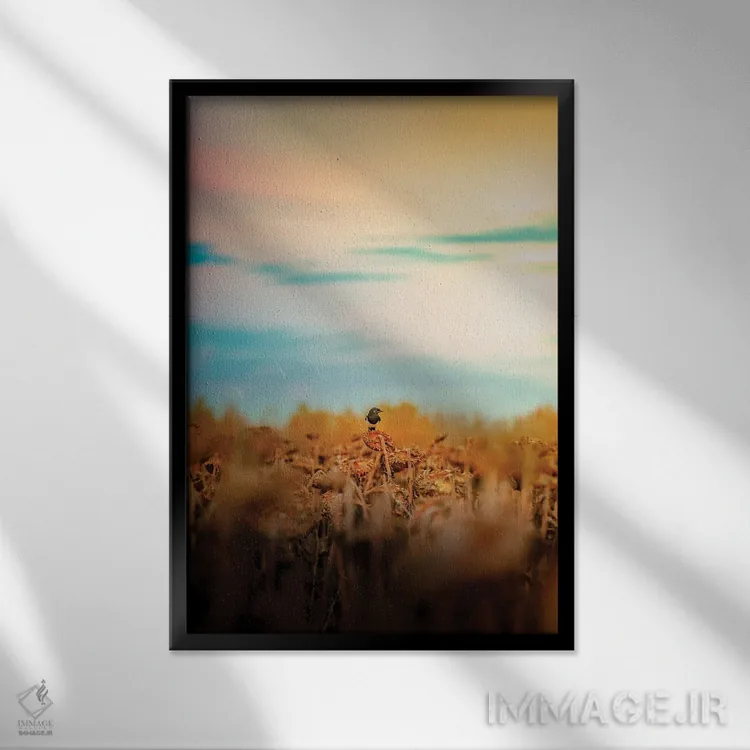 تابلو دکوراتیو کلاغ روی گل آفتابگردان در روز بارانی اثر نیک ریو - نمای قابدار مشکی
