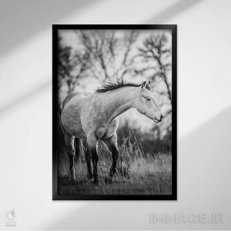 تابلو دکوراتیو پرتره اسب خاکستری اثر نیک ریو - نمای قابدار مشکی