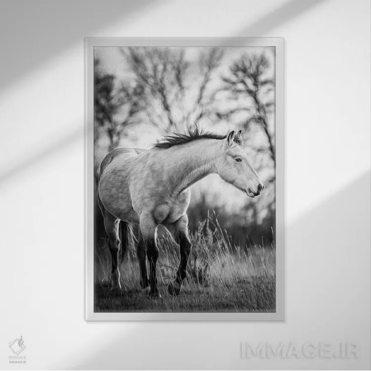 تابلو دکوراتیو پرتره اسب خاکستری اثر نیک ریو - نمای قابدار سفید
