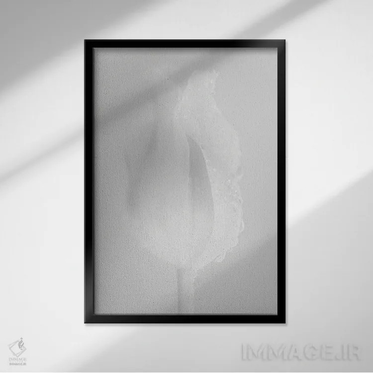 تابلو دکوراتیو لاله سفید لطیف اثر نیک ریو - نمای قابدار مشکی