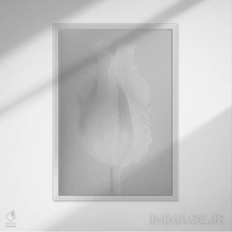 تابلو دکوراتیو لاله سفید لطیف اثر نیک ریو - نمای قابدار سفید