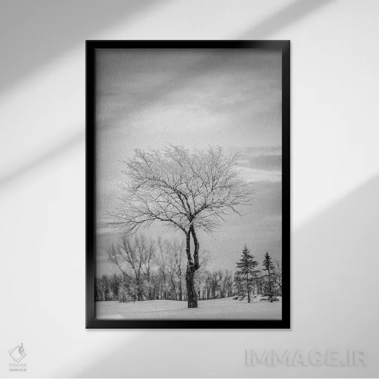 تابلو دکوراتیو درخت تنها پوشیده از برف اثر نیک ریو - نمای قابدار مشکی