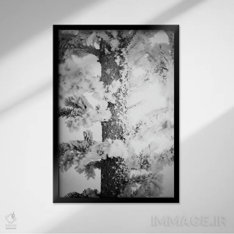 تابلو دکوراتیو کاج یخ زده از نزدیک اثر نیک ریو - نمای قابدار مشکی