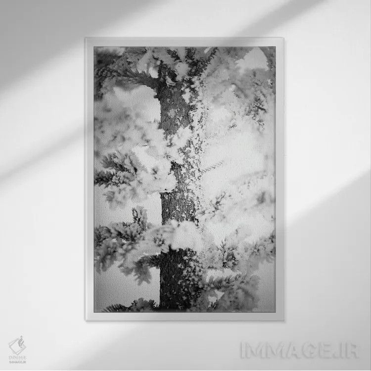 تابلو دکوراتیو کاج یخ زده از نزدیک اثر نیک ریو - نمای قابدار سفید