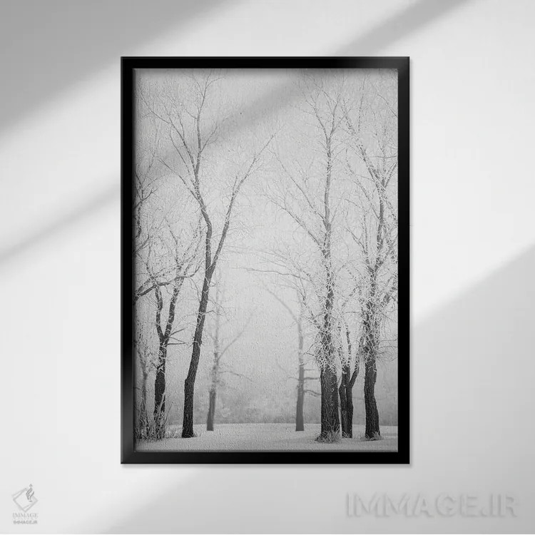 تابلو دکوراتیو مسیر میان درختان یخ زده اثر نیک ریو - نمای قابدار مشکی