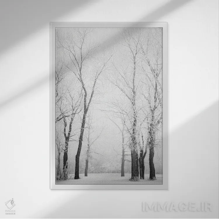 تابلو دکوراتیو مسیر میان درختان یخ زده اثر نیک ریو - نمای قابدار سفید