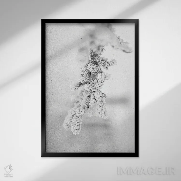تابلو دکوراتیو شاخه کاج یخ زده اثر نیک ریو - نمای قابدار مشکی