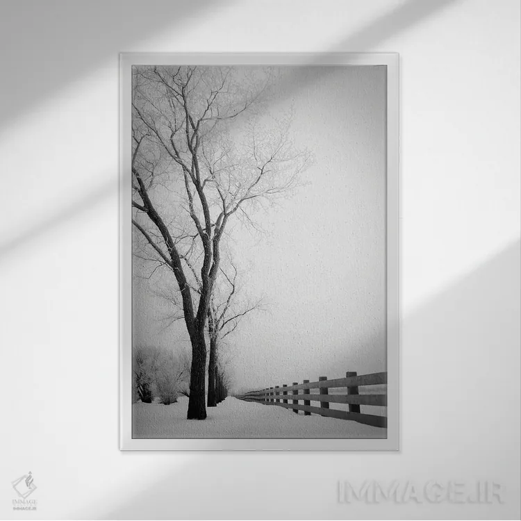 تابلو دکوراتیو نرده یخ زده اثر نیک ریو - نمای قابدار سفید