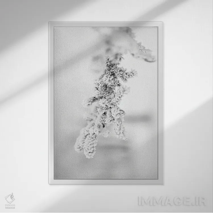 تابلو دکوراتیو شاخه کاج یخ زده اثر نیک ریو - نمای قابدار سفید