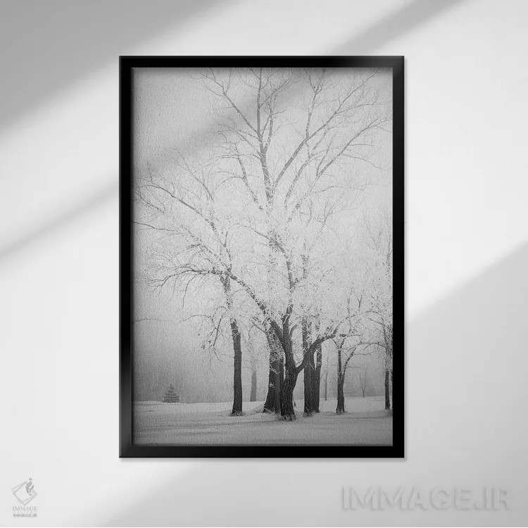 تابلو دکوراتیو درختان یخ زده اثر نیک ریو - نمای قابدار مشکی