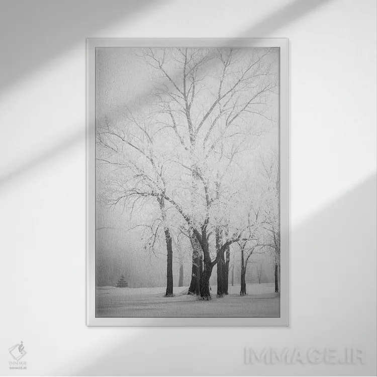 تابلو دکوراتیو درختان یخ زده اثر نیک ریو - نمای قابدار سفید