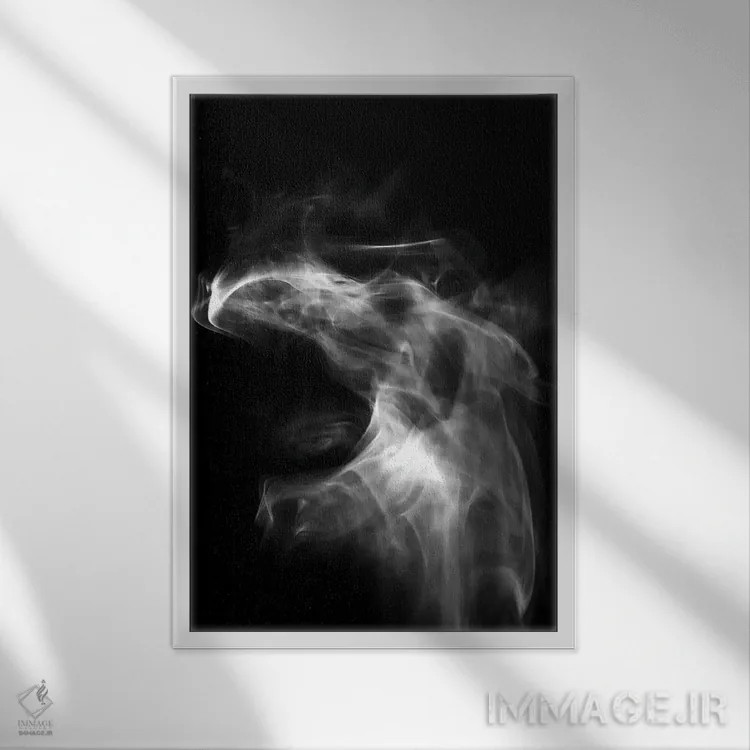 تابلو انتزاعی اژدها در میان دود اثر نیک ریو - نمای قابدار سفید