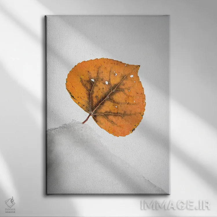 تابلو دکوراتیو برگ نارنجی روی تپه برفی اثر نیک ریو - نمای روبهرو روی دیوار