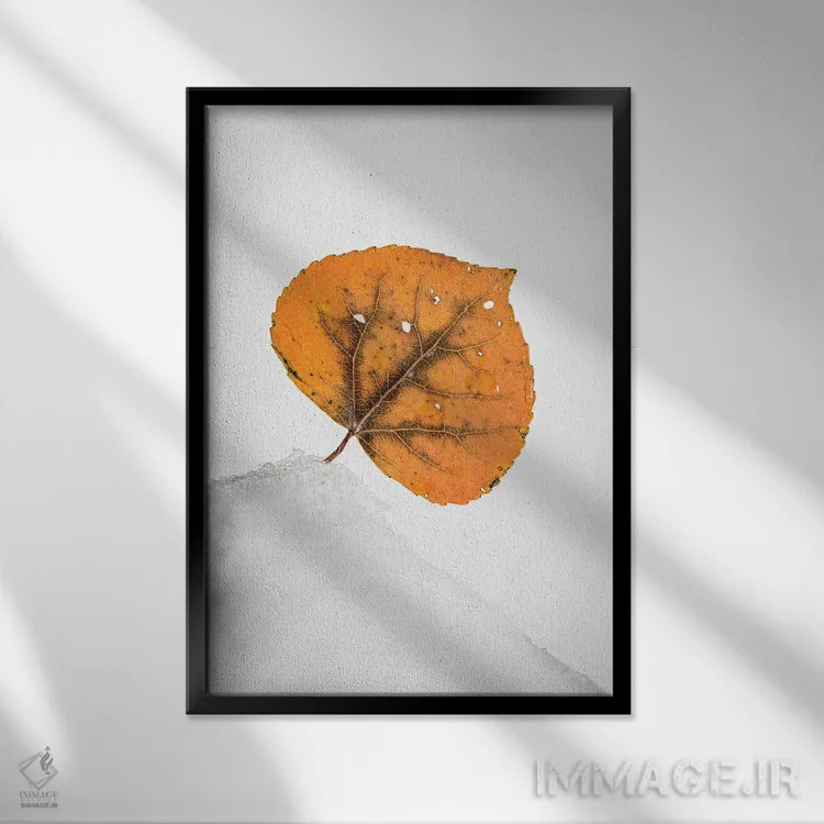 تابلو دکوراتیو برگ نارنجی روی تپه برفی اثر نیک ریو - نمای قابدار مشکی