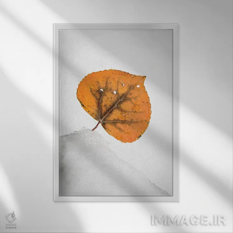 تابلو دکوراتیو برگ نارنجی روی تپه برفی اثر نیک ریو - نمای قابدار سفید