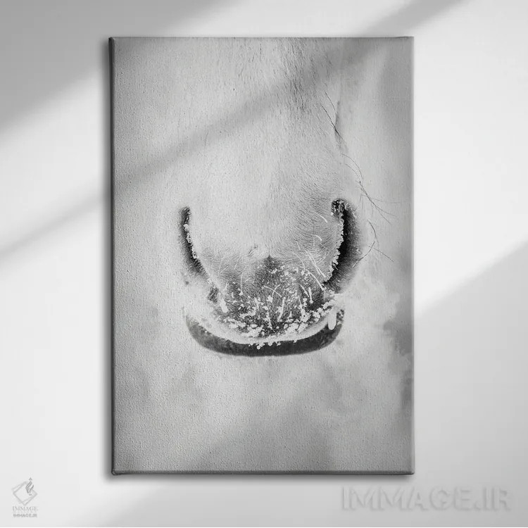 تابلو دکوراتیو پرتره مینیمال اسب سفید اثر نیک ریو - نمای روبهرو روی دیوار