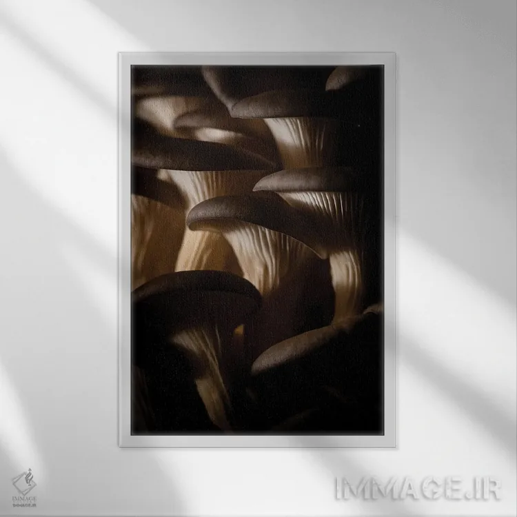 تابلو دکوراتیو دنیای قارچ ها ۲ اثر نیک ریو - نمای قابدار سفید