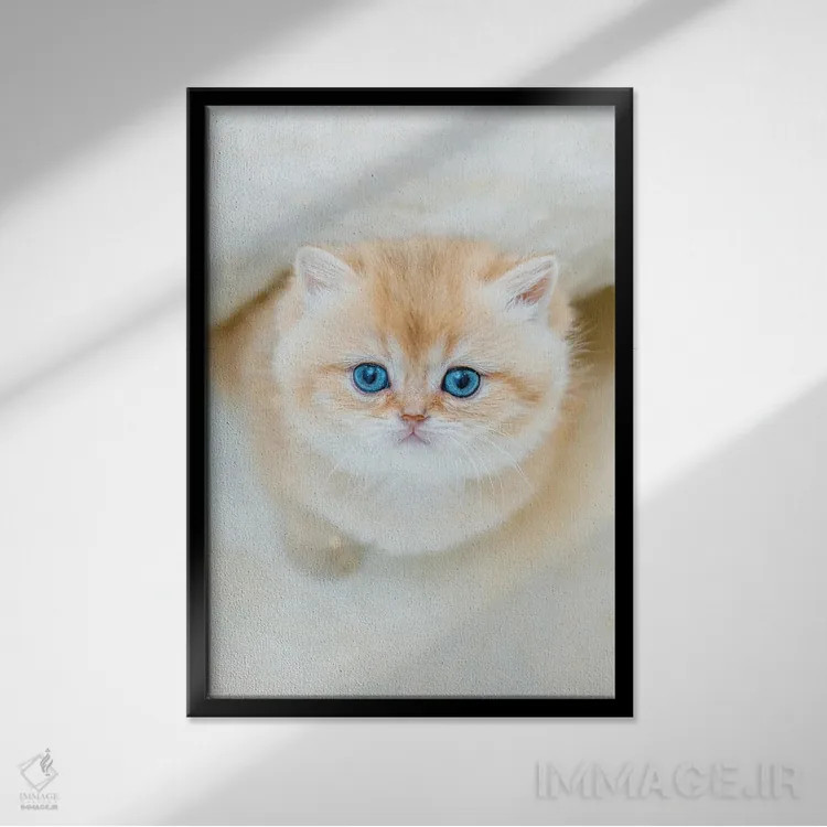 تابلو دکوراتیو آری دلربایی: گربه بریتانیایی شورت هیر اثر نیک ریو - نمای قابدار مشکی