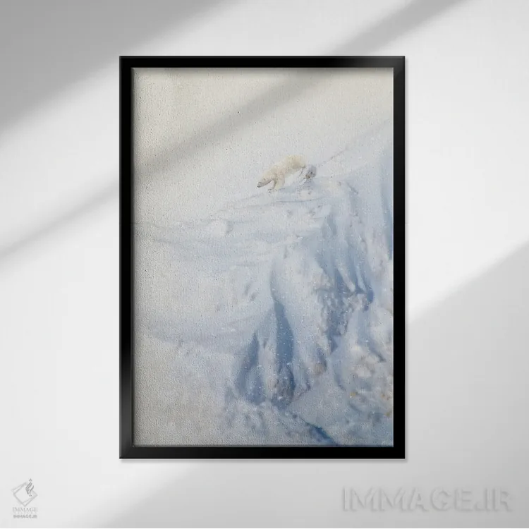 تابلو دکوراتیو خرس قطبی در حال صعود از صخره شیب دار اثر نیک ریو - نمای قابدار مشکی