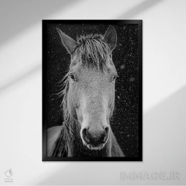 تابلو دکوراتیو پرتره اسبچه تنها اثر نیک ریو - نمای قابدار مشکی