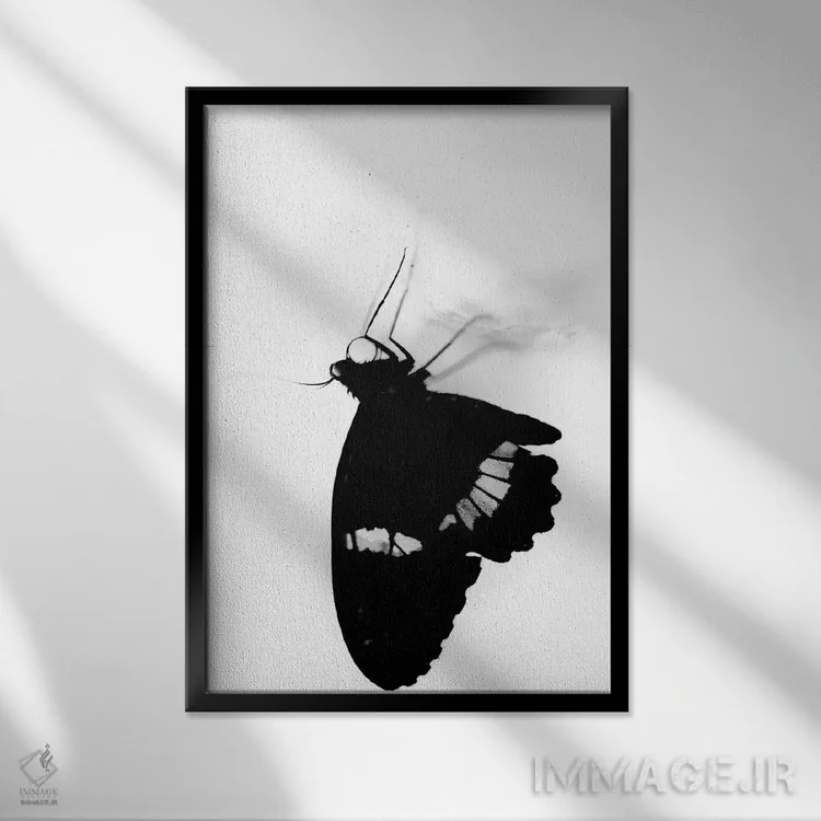 تابلو دکوراتیو سیلوئت سیاه و سفید پروانه اثر نیک ریو - نمای قابدار مشکی