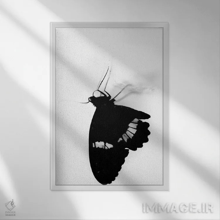 تابلو دکوراتیو سیلوئت سیاه و سفید پروانه اثر نیک ریو - نمای قابدار سفید