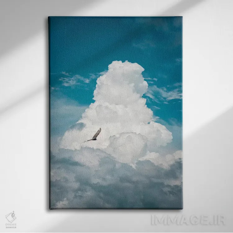 تابلو دکوراتیو کرکس میان ابرها اثر نیک ریو - نمای روبهرو روی دیوار
