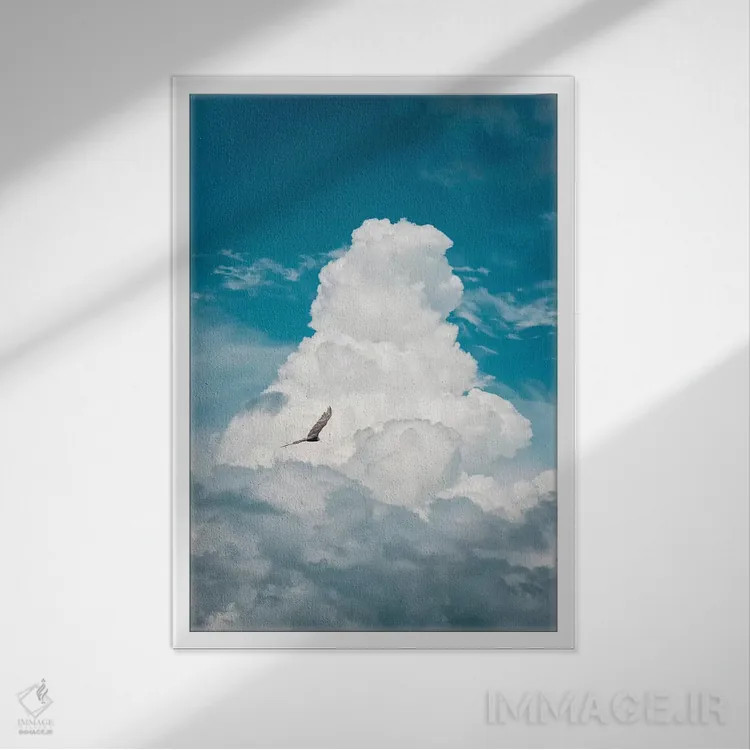 تابلو دکوراتیو کرکس میان ابرها اثر نیک ریو - نمای قابدار سفید