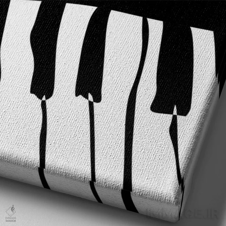 تابلو مینیمال گربه پیانوزن اثر نیسه کرونا - نمای نزدیک بافت بوم