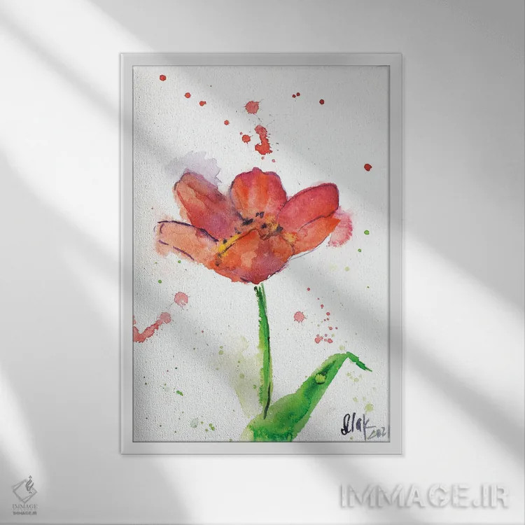 تابلو دکوراتیو لاله قرمز اثر ناتالی مک - نمای قابدار سفید