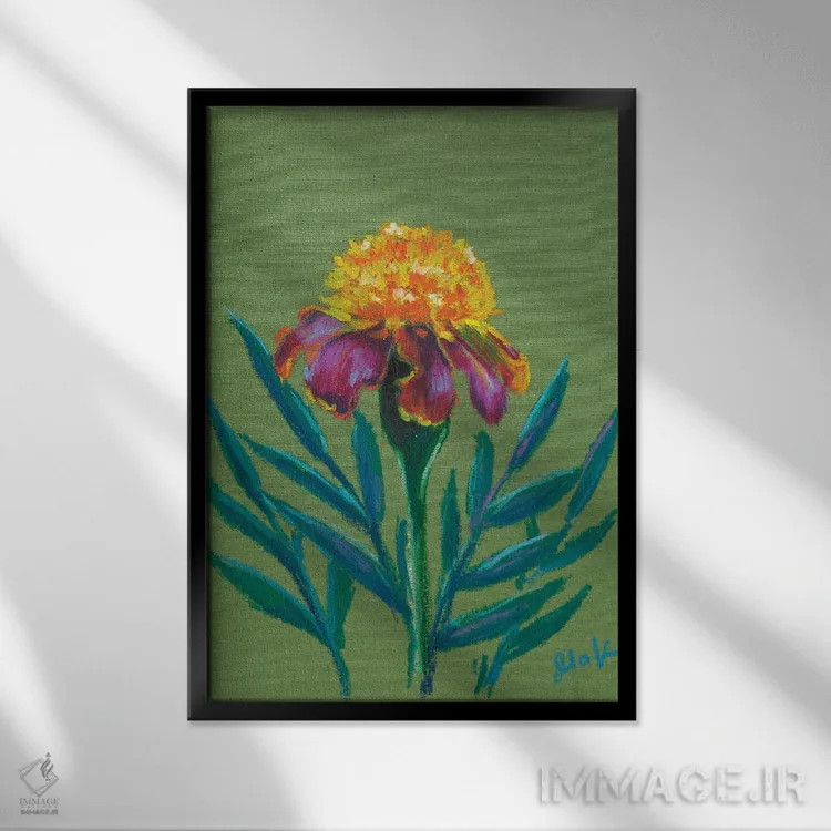 تابلو دکوراتیو گل همیشه بهار II اثر ناتالی مک - نمای قابدار مشکی